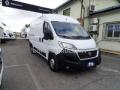 usato FIAT Ducato