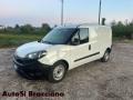 usato FIAT Doblo