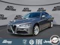 usato ALFA ROMEO Giulia