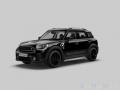 usato MINI Countryman
