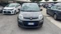 usato FIAT Panda