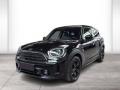 usato MINI Countryman