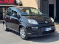 usato FIAT Panda