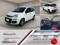 usato FIAT Panda