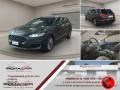 usato FORD Mondeo