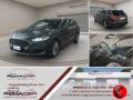 usato FORD Mondeo