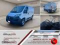 usato FIAT Ducato