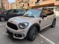 usato MINI Countryman