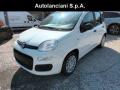 usato FIAT Panda