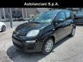 usato FIAT Panda