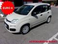 usato FIAT Panda