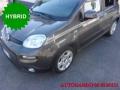 usato FIAT Panda